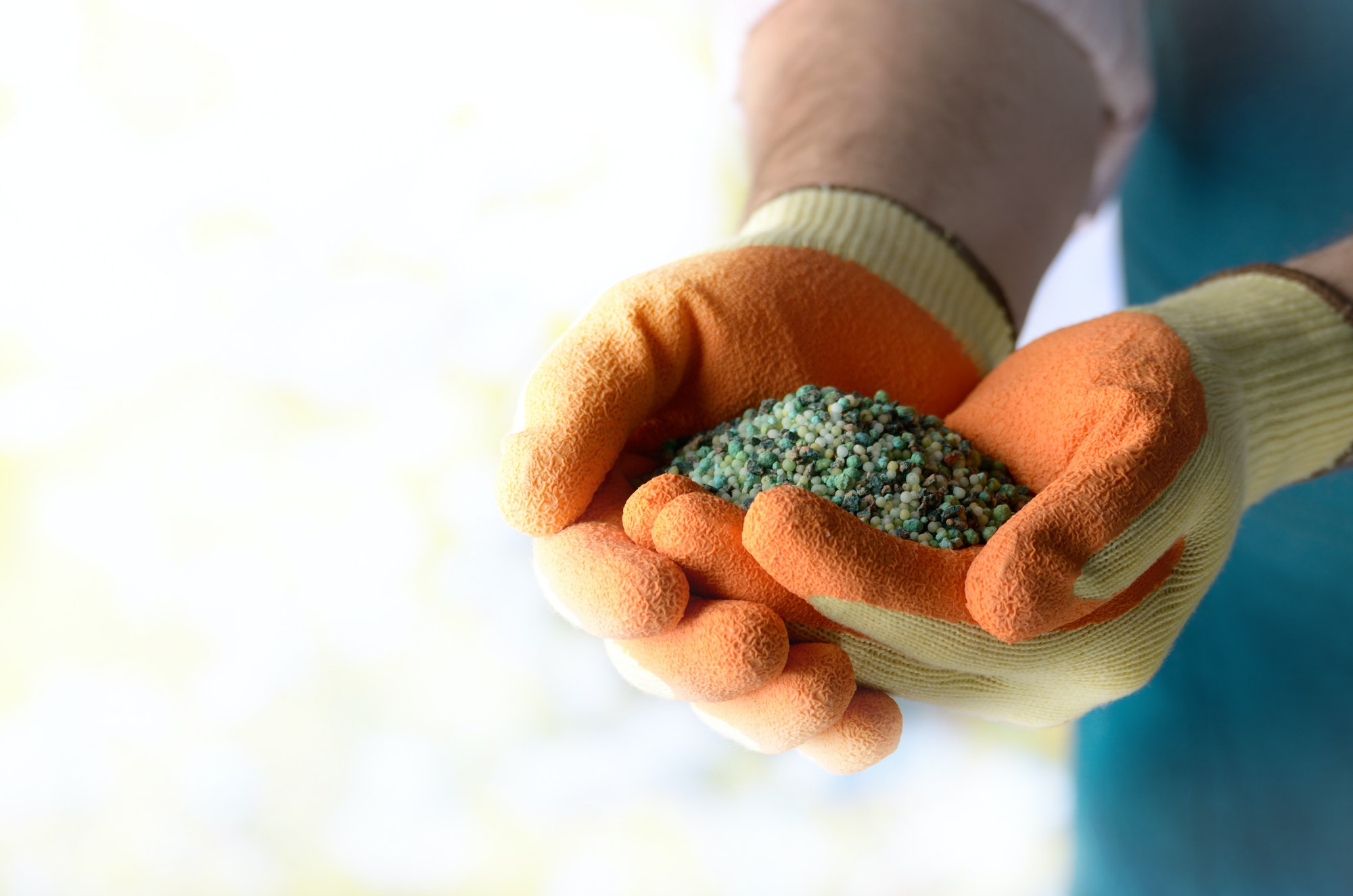types of organic fertilizers