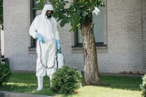 Certified arborist from American Tree Experts performing pest control check in Montclair, NJ landscape