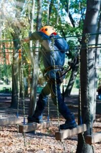 Certified arborist performing tree cabling service to support weak branches in Montclair, NJ
