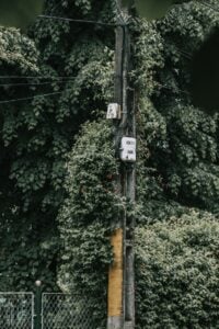 Overgrown tree branches close to residential power lines posing risk to Montclair NJ homes