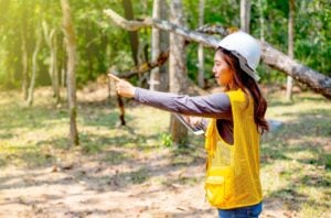 Arborist in Montclair explaining town permit rules for tree removal on residential property
