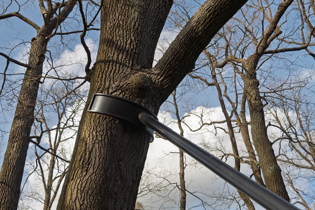 Tree cabling and bracing installation supporting mature trees at a residential property in Montclair